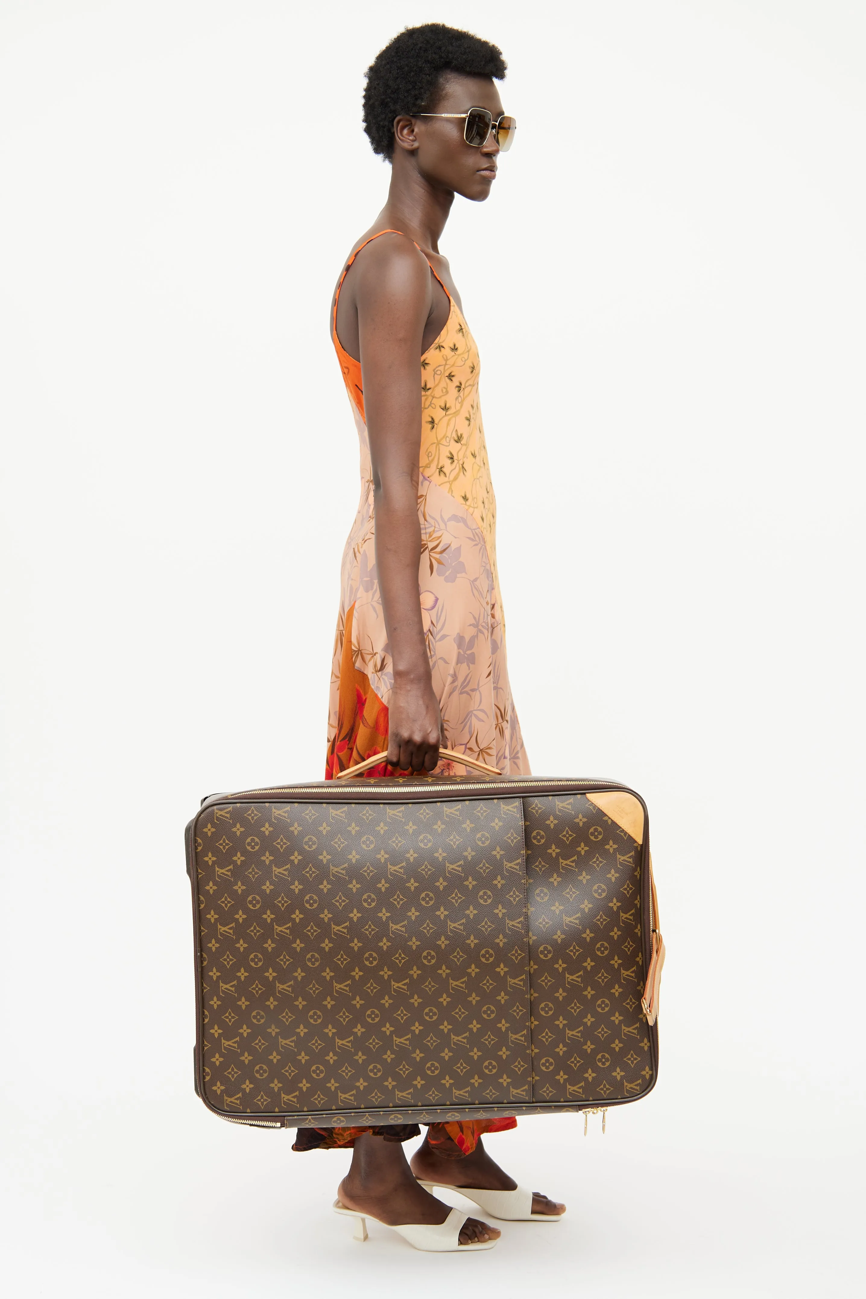 Brown 2010 Monogram Pegase Luggage