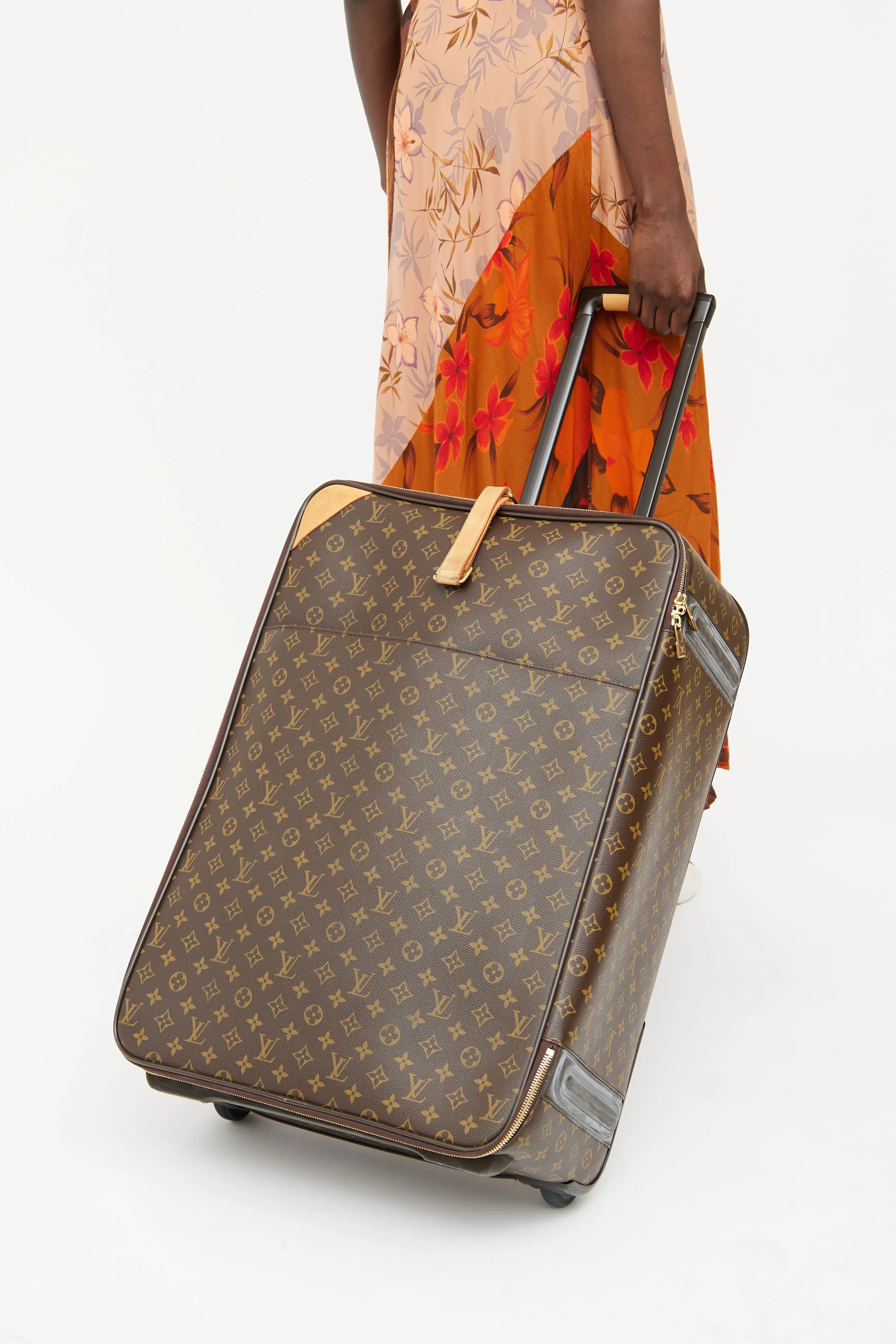 Brown 2010 Monogram Pegase Luggage